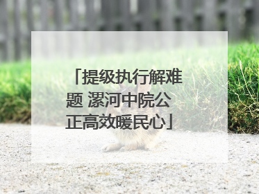 提级执行解难题 漯河中院公正高效暖民心