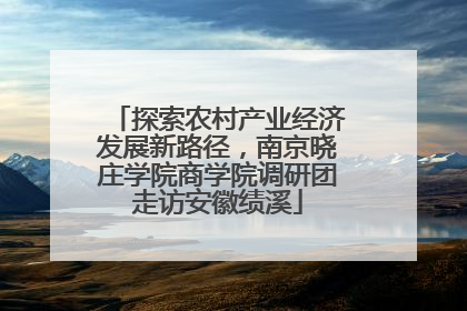 探索农村产业经济发展新路径，南京晓庄学院商学院调研团走访安徽绩溪