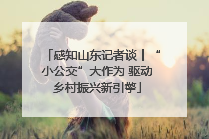 感知山东记者谈丨“小公交”大作为 驱动乡村振兴新引擎