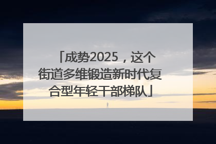 成势2025，这个街道多维锻造新时代复合型年轻干部梯队