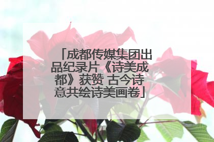 成都传媒集团出品纪录片《诗美成都》获赞 古今诗意共绘诗美画卷