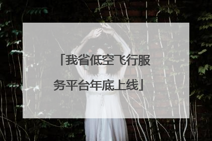 我省低空飞行服务平台年底上线
