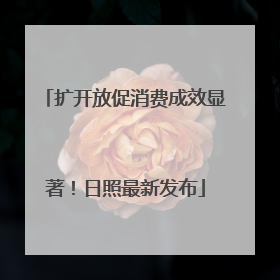 扩开放促消费成效显著！日照最新发布
