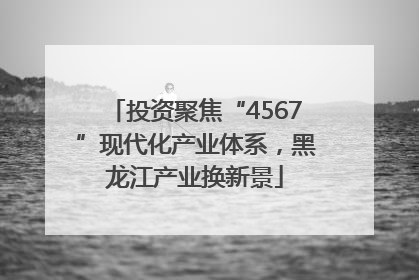 投资聚焦“4567”现代化产业体系，黑龙江产业换新景