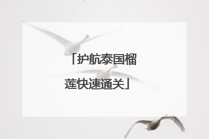 护航泰国榴莲快速通关