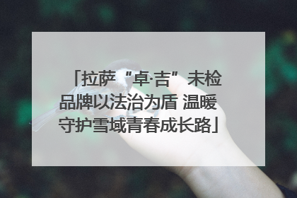 拉萨“卓·吉”未检品牌以法治为盾 温暖守护雪域青春成长路