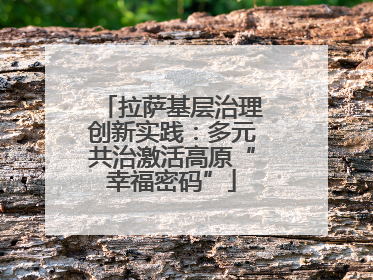 拉萨基层治理创新实践：多元共治激活高原“幸福密码”