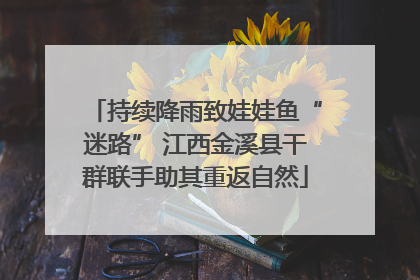 持续降雨致娃娃鱼“迷路” 江西金溪县干群联手助其重返自然