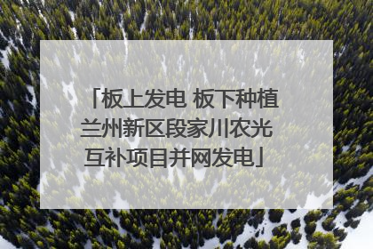 板上发电 板下种植 兰州新区段家川农光互补项目并网发电
