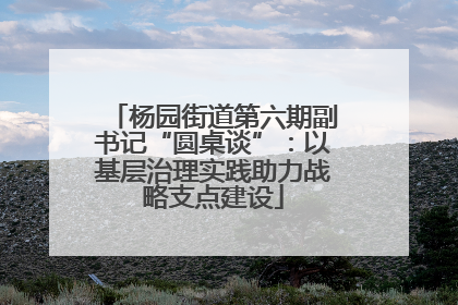 杨园街道第六期副书记“圆桌谈”：以基层治理实践助力战略支点建设