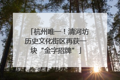 杭州唯一！清河坊历史文化街区再获一块“金字招牌”