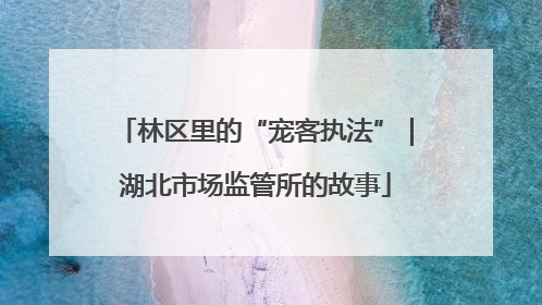 林区里的“宠客执法”｜湖北市场监管所的故事
