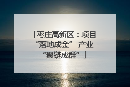 枣庄高新区：项目“落地成金” 产业“聚链成群”