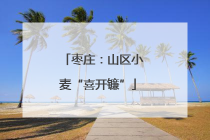 枣庄：山区小麦“喜开镰”