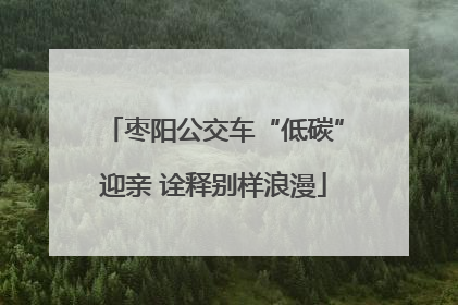枣阳公交车“低碳”迎亲 诠释别样浪漫