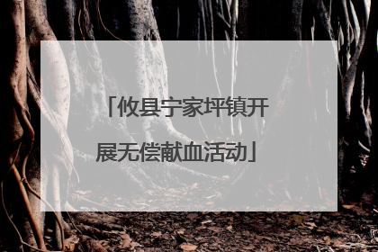 攸县宁家坪镇开展无偿献血活动