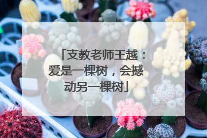 支教老师王越：爱是一棵树，会撼动另一棵树