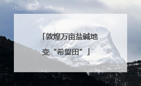 敦煌万亩盐碱地变“希望田”