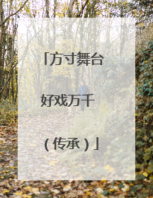 方寸舞台 好戏万千（传承）