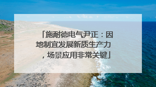 施耐德电气尹正：因地制宜发展新质生产力，场景应用非常关键
