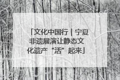 文化中国行｜宁夏 非遗展演让静态文化遗产“活”起来