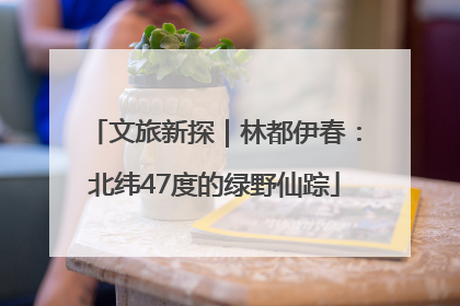 文旅新探｜林都伊春：北纬47度的绿野仙踪