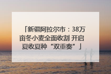 新疆阿拉尔市：38万亩冬小麦全面收割 开启夏收夏种“双重奏”
