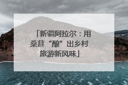 新疆阿拉尔：用桑葚“酿”出乡村旅游新风味
