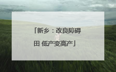 新乡：改良障碍田 低产变高产