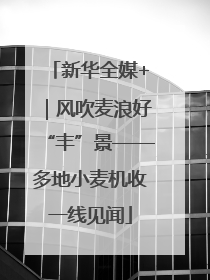 新华全媒+｜风吹麦浪好“丰”景——多地小麦机收一线见闻
