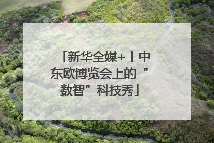 新华全媒+丨中东欧博览会上的“数智”科技秀