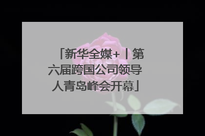 新华全媒+丨第六届跨国公司领导人青岛峰会开幕