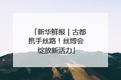 新华鲜报｜古都携手丝路！丝博会绽放新活力