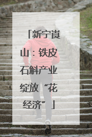 新宁崀山：铁皮石斛产业绽放“花经济”