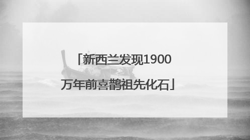 新西兰发现1900万年前喜鹊祖先化石