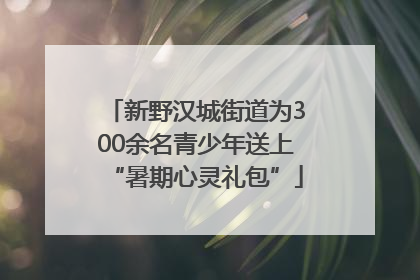 新野汉城街道为300余名青少年送上“暑期心灵礼包”