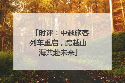 时评：中越旅客列车重启，跨越山海共赴未来