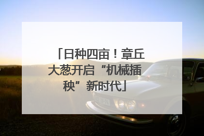 日种四亩！章丘大葱开启“机械插秧”新时代