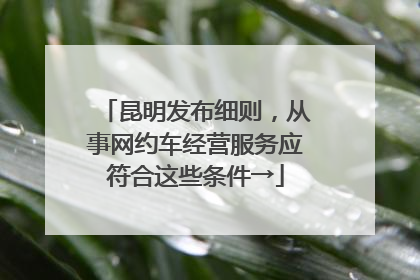昆明发布细则，从事网约车经营服务应符合这些条件→