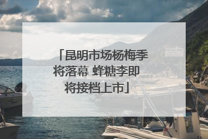 昆明市场杨梅季将落幕 蜂糖李即将接档上市