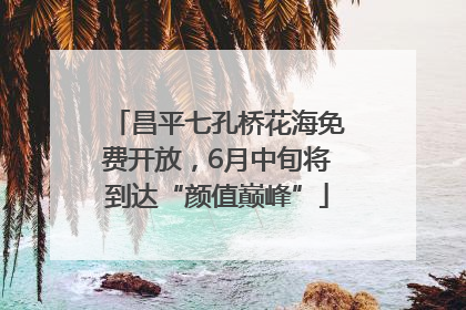 昌平七孔桥花海免费开放，6月中旬将到达“颜值巅峰”