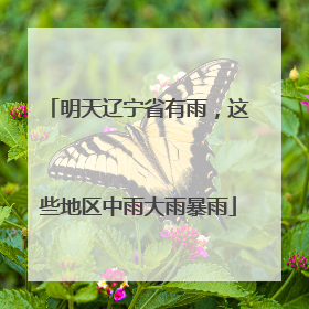明天辽宁省有雨，这些地区中雨大雨暴雨