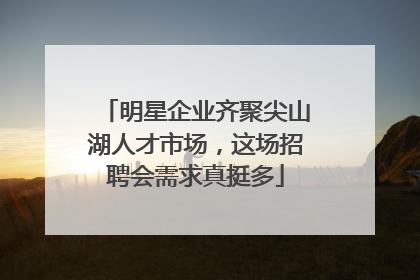 明星企业齐聚尖山湖人才市场，这场招聘会需求真挺多