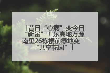 昔日“心病”变今日“新景”！东高地万源南里26栋楼前绿地变“共享花园”