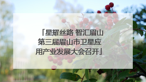 星耀丝路 智汇眉山 第三届眉山市卫星应用产业发展大会召开