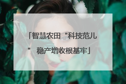 智慧农田“科技范儿” 稳产增收根基牢