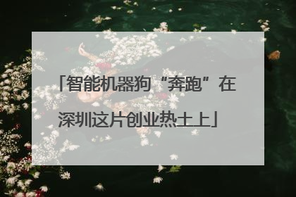 智能机器狗“奔跑”在深圳这片创业热土上