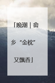 晚潮｜畲乡“金枕”又飘香