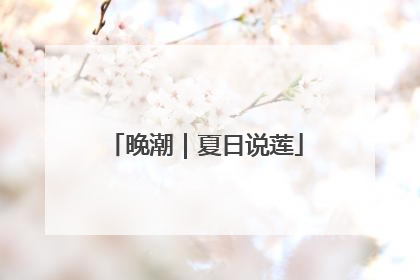 晚潮｜夏日说莲