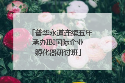 普华永道连续五年承办IBI国际企业孵化器研讨班